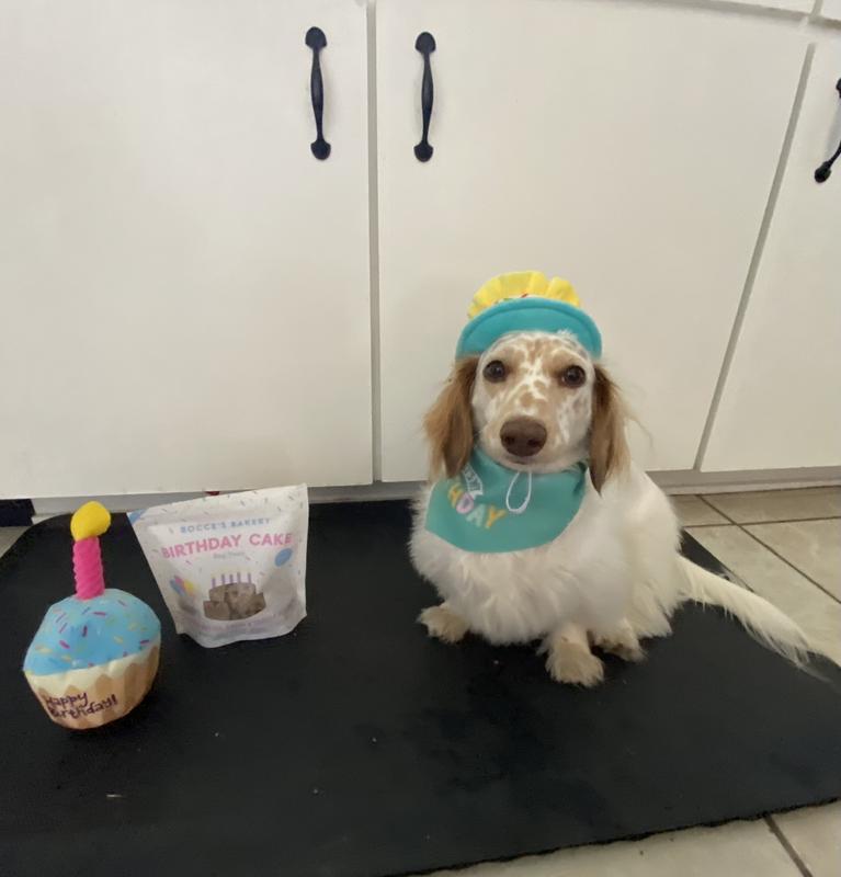 The cute hat stayed on for birthday poses!