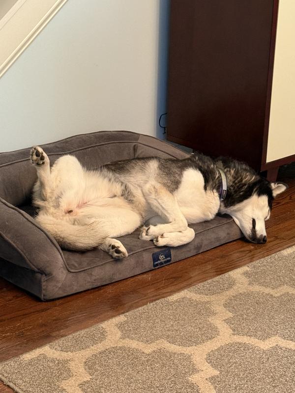 I’ll sleep anywhere! Glacier