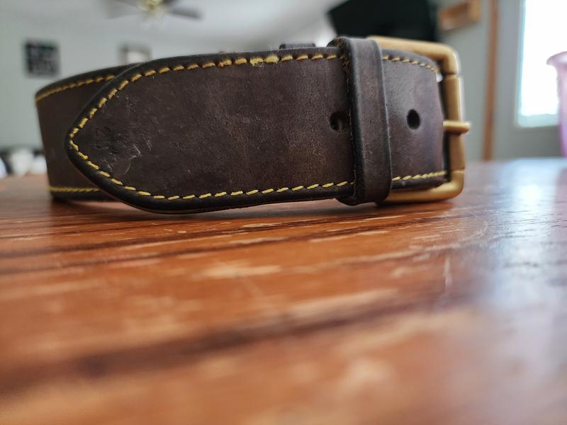 3 year old collar, minimal wear on outside
