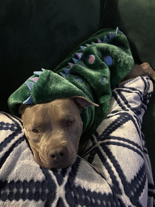 Good for walks or couch sleeping