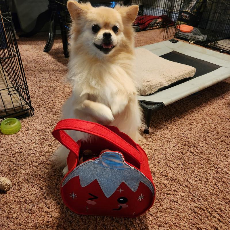 Fenrir is so happy