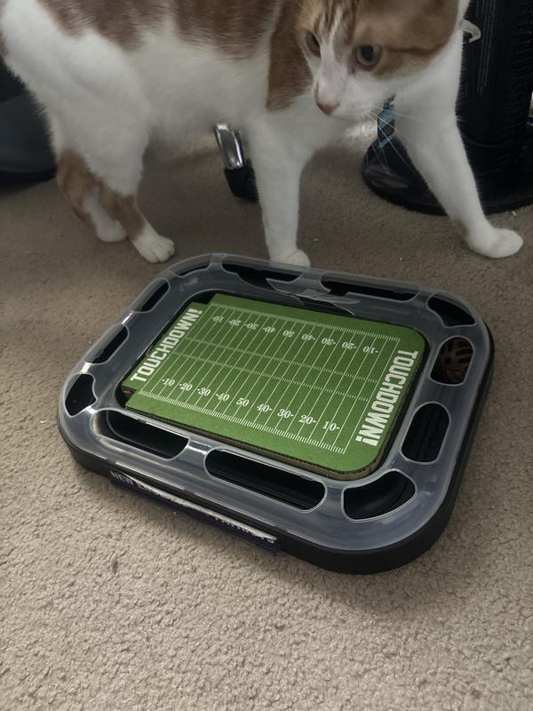 PETS FIRST NFL Football Field Cat Scratcher Toy with Catnip