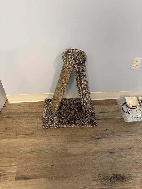 Well-loved scratcher