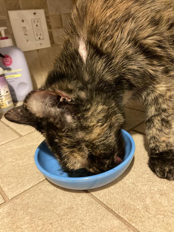 LeeLoo’s feast