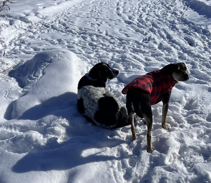 Hanging around outside on a sub-zero day!