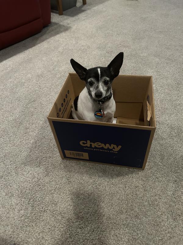 Very adorable in his favorite company