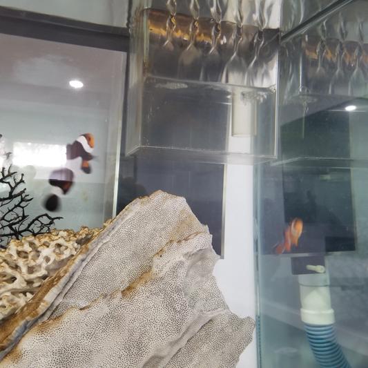 More than enough for 55 gal imo.