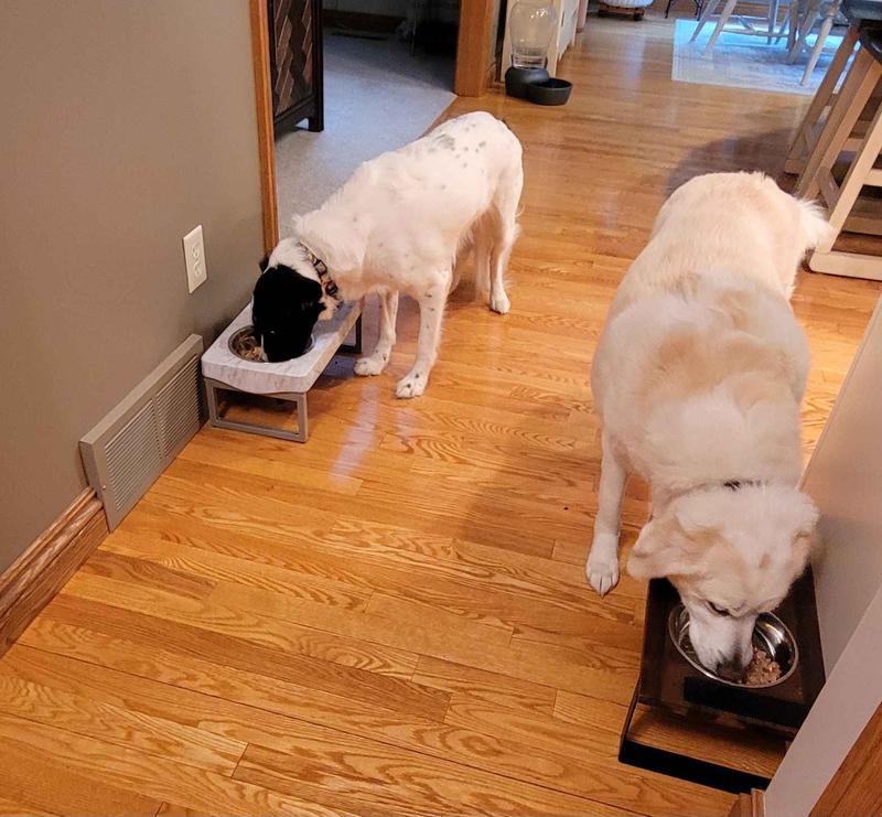 PETPLATE Human Grade GrainFree Chicken & Beef Fresh Dog Food, 12oz cup, case of 12