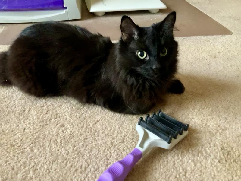 Seeley posing with the tool