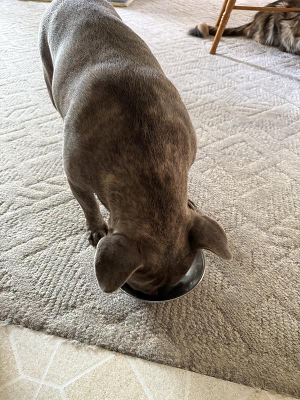 I added the treat to the food dish to help entice them to eat the supplement treat.