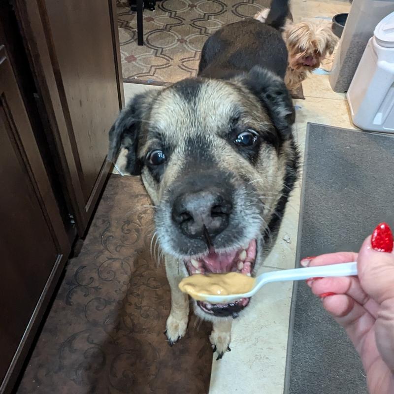 Even the picky one ate it