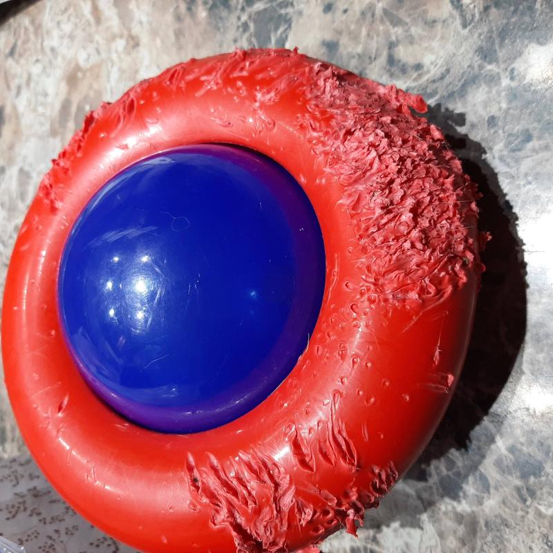 KONG - Gyro - Interactive Treat Dispensing Dog Toy - for Large Dogs