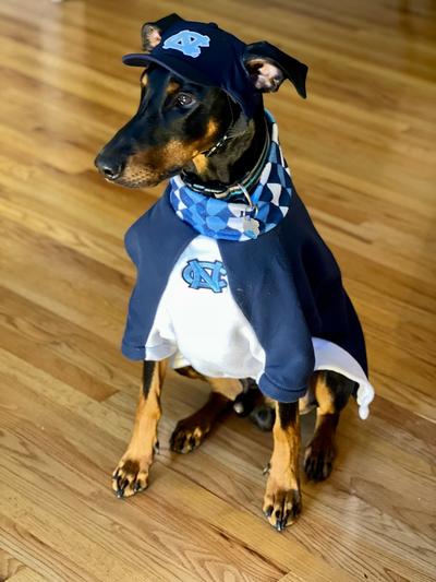 Dallas Cowboys Pet Baseball Hat – 3 Red Rovers