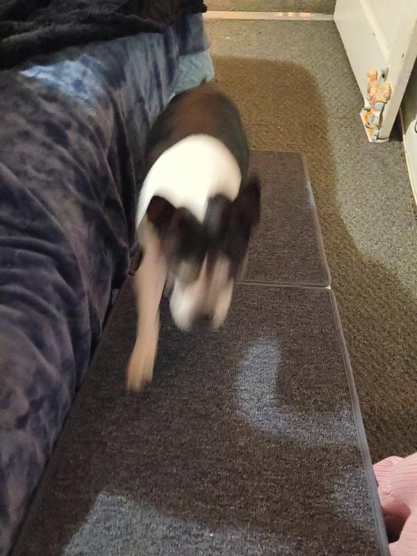 Game changer giving Mattie her independence back