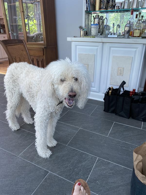 NEWMAN'S OWN Beef Jerky Original Recipe Dog Treats, 5oz bag