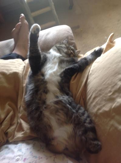 Full belly!