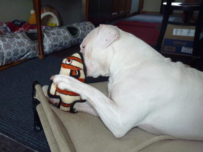 Which fin to remove?