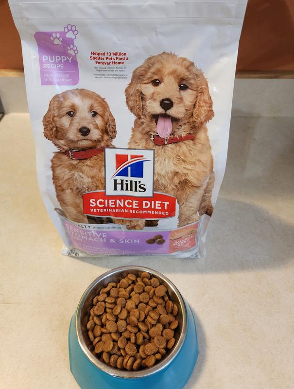 Hills puppy starter pack best sale