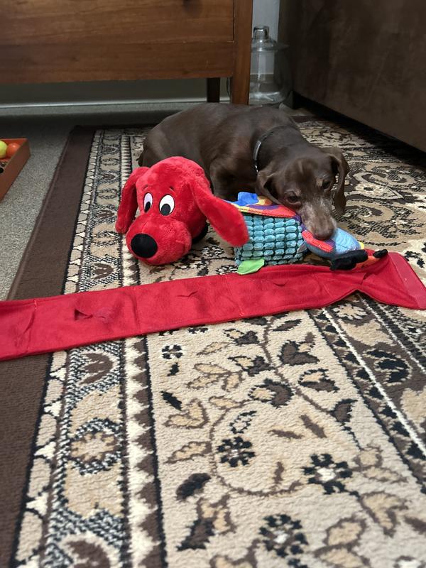 Cute, fun, for a very large dog, not a miniature dachshund