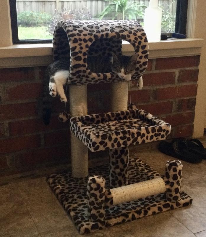 Leopard print 2024 cat tower