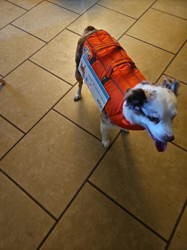 Outward Hound Corgi Life Jacket Outward Hound Granby RipStop Dog