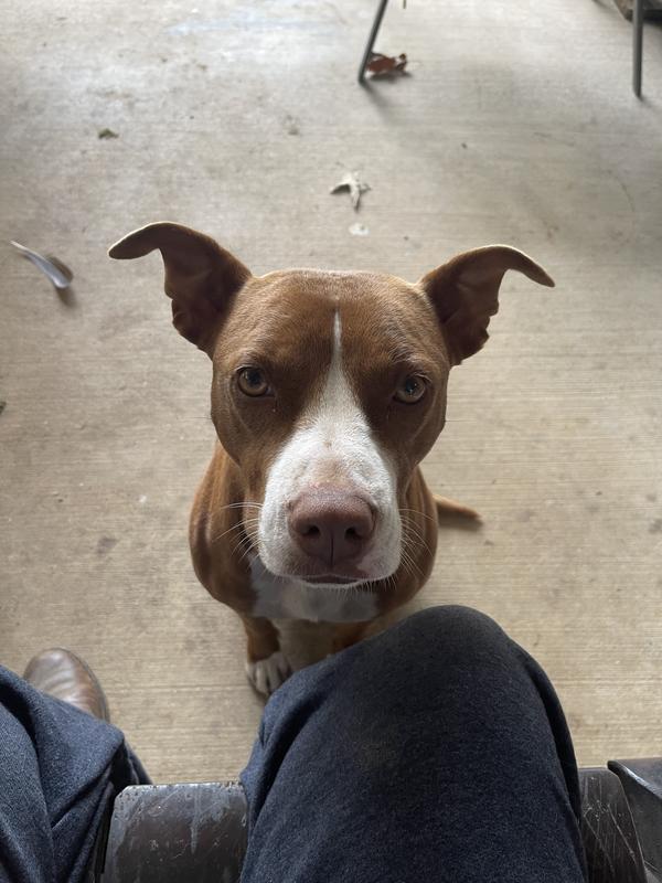 Before she passed away