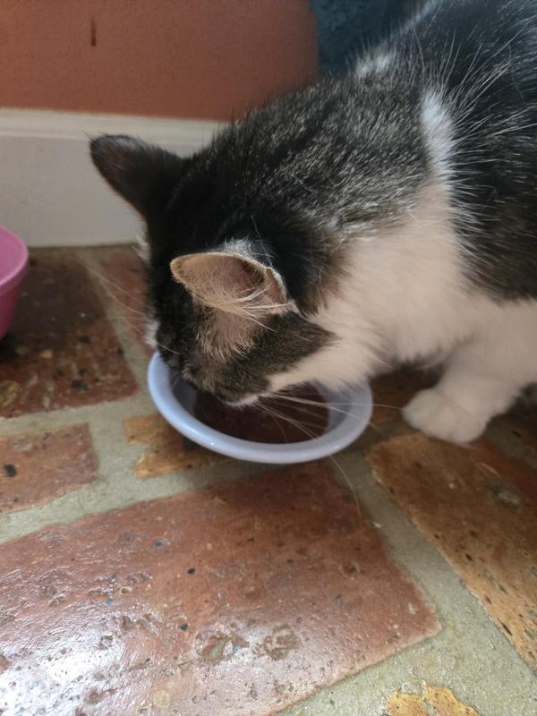 Smudge says YUM!