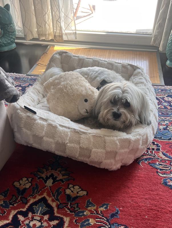 It's literally his mate :-)