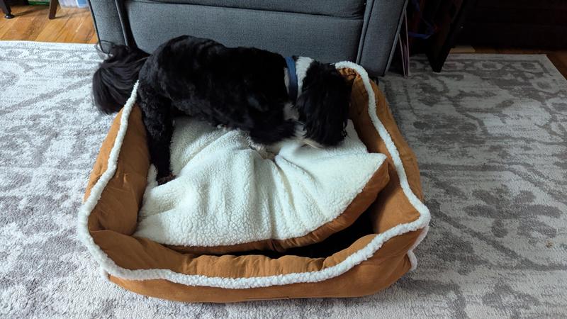 Removable Pillow Bed for Small Dog
