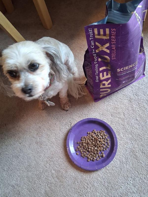 Mazie just got her new food