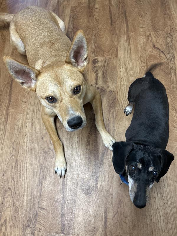 They know something good is coming