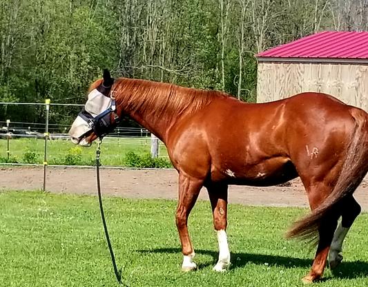 Banjo, looking great!