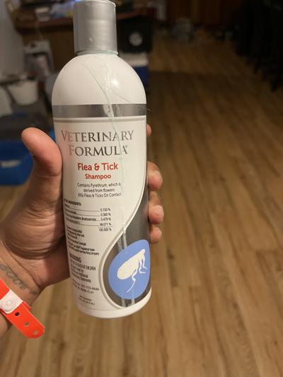 Veterinary formula flea outlet and tick shampoo