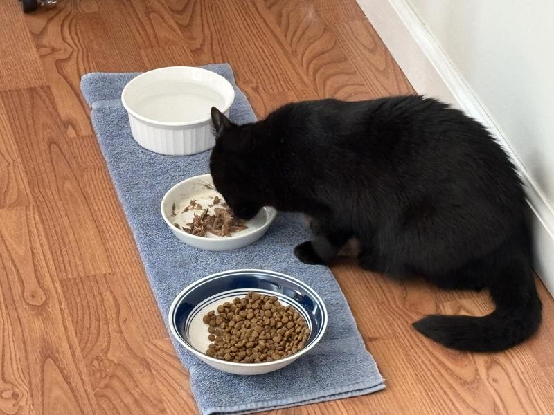 Now this just what I want!!