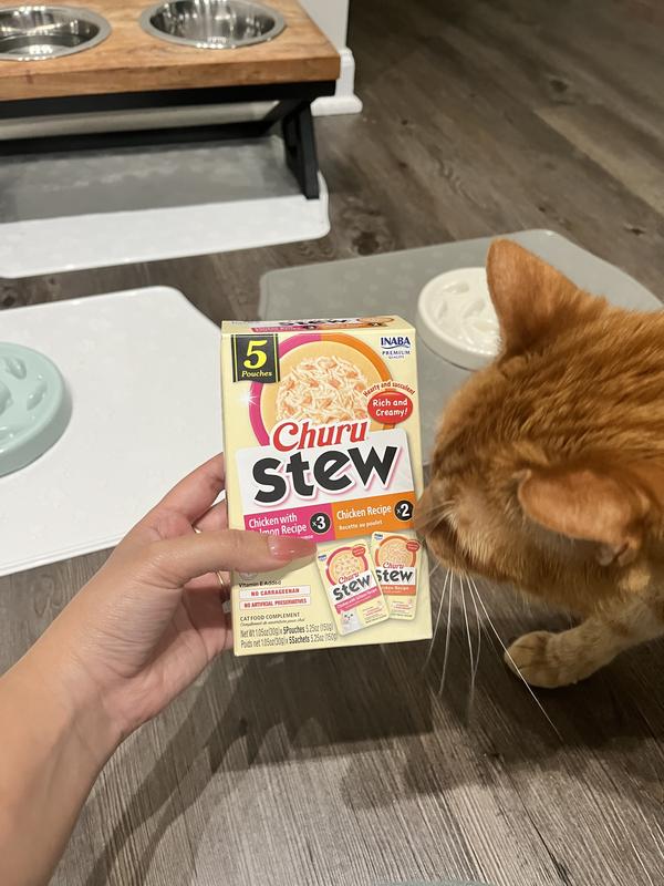 Chai investigates new smells!