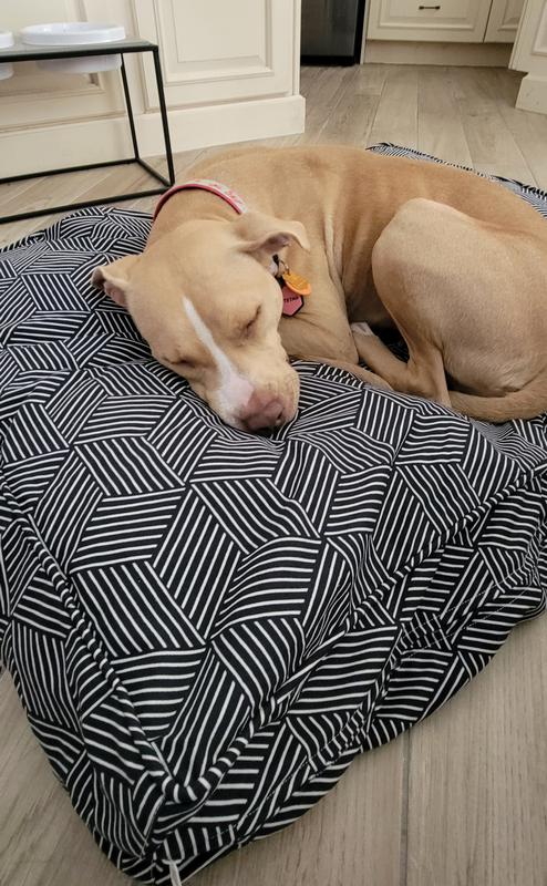 Molly mutt dog bed cover best sale