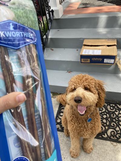 Omg bully sticks now I am excited!