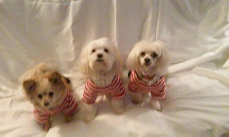 Brother Bailey in the middle.