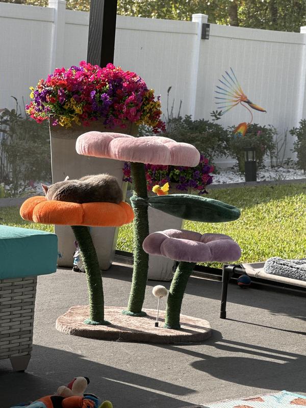 Great morning for Emmy!!