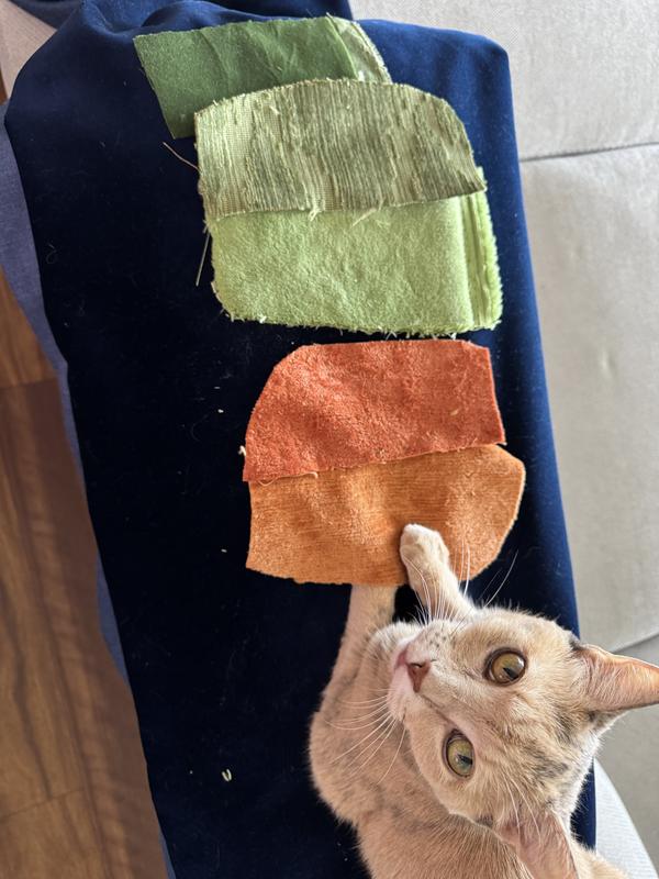 Amber loves velvet, she is choosing her color