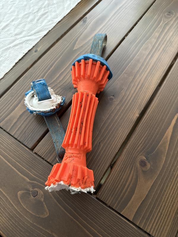 Destroyed after a day