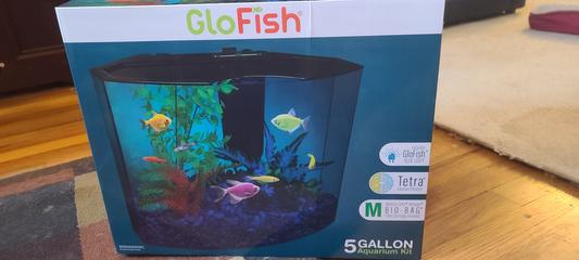GLOFISH Aquarium Starter Kit, 3-gal 