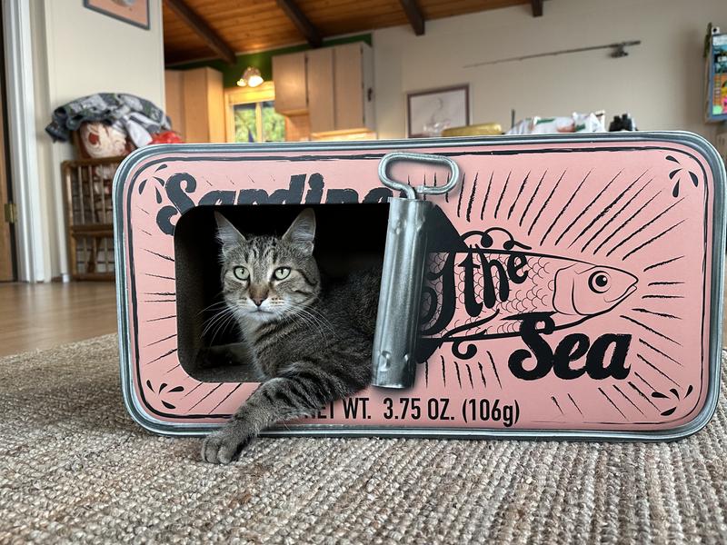 Sardine shop cat scratcher