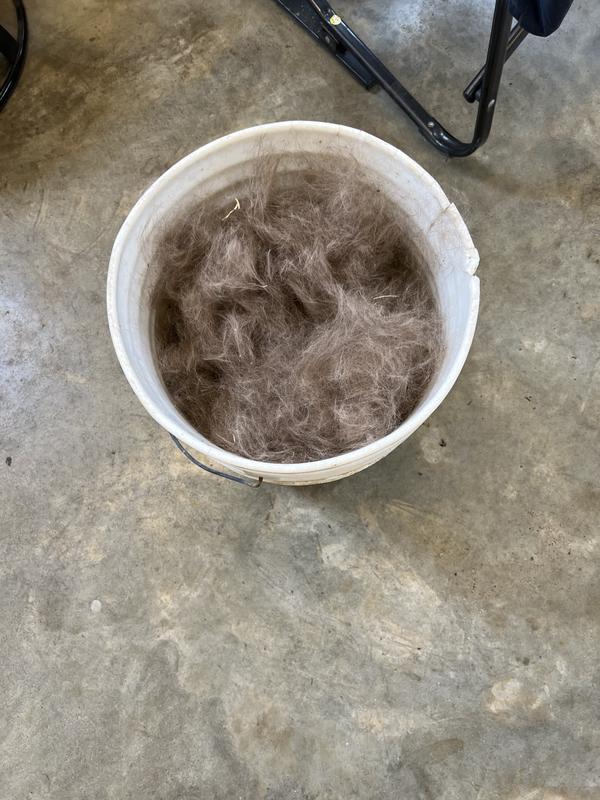 Hair