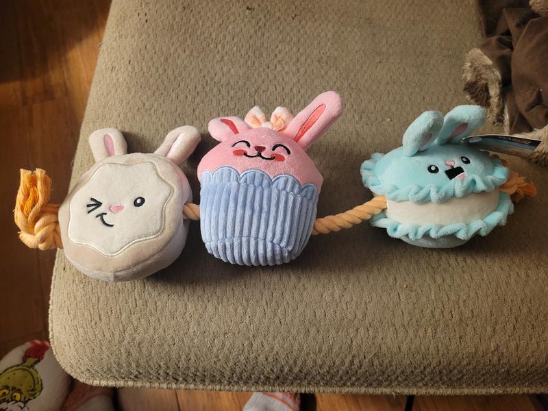 Pieces are soft and each one squeaks