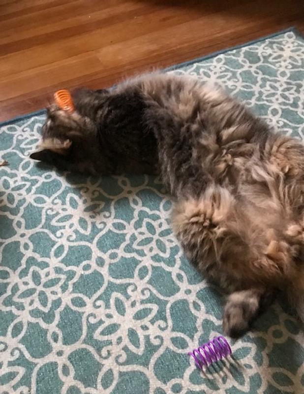 Kitsu Loves Spiral Toys