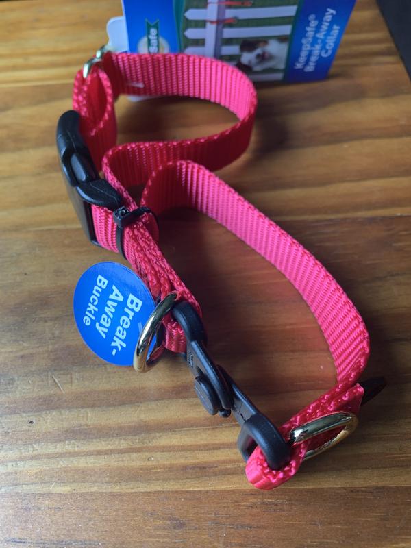 Keepsafe breakaway cheap dog collar