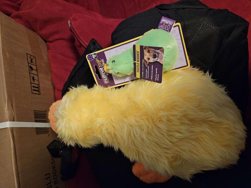 MULTIPET Duckworth Squeaky Plush Dog Toy, Color Varies, Mini