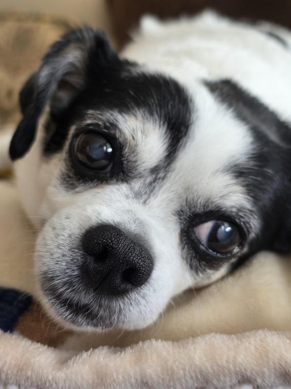 How her pupils supposed to look