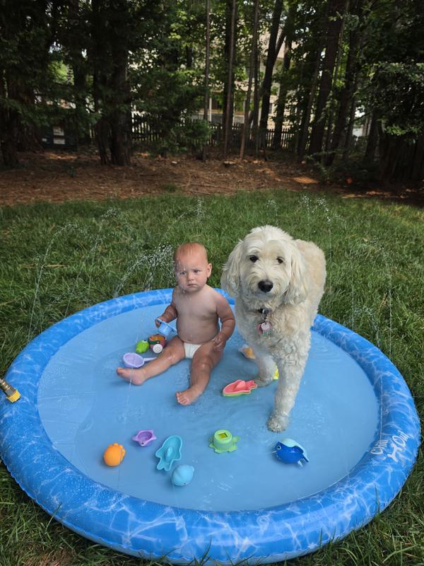 ALLFORPAWS Chill Out Sprinkler Fun Mat Dog Toy, Medium - Chewy.com